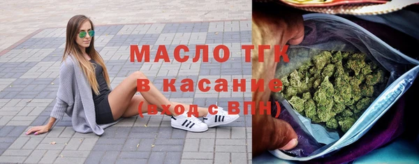 индика Верхний Тагил